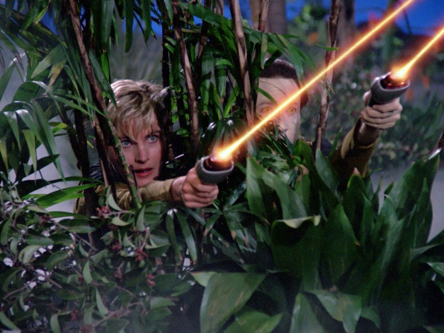 Arsenal of Freedom  (⭑⭑)